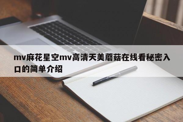 mv麻花星空mv高清天美蘑菇在线看秘密入口的简单介绍