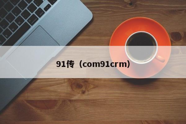 91传（com91crm）