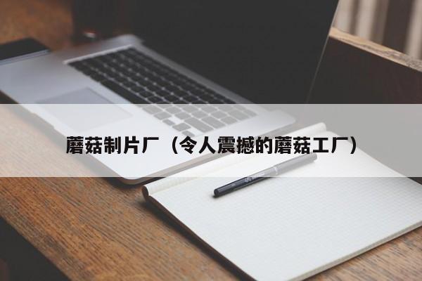蘑菇制片厂（令人震撼的蘑菇工厂）