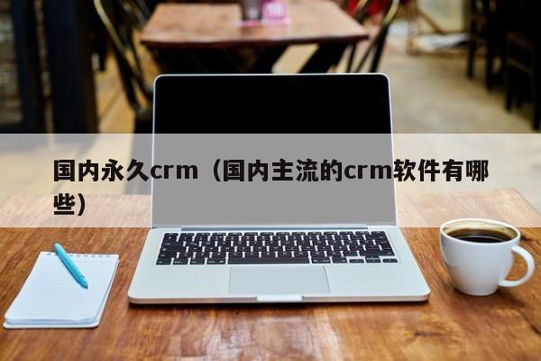 国内永久crm（国内主流的crm软件有哪些）