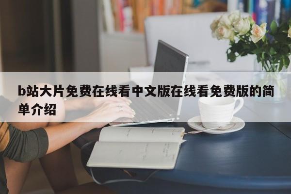 b站大片免费在线看中文版在线看免费版的简单介绍