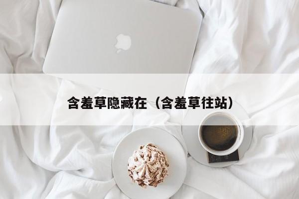 含羞草隐藏在（含羞草往站）