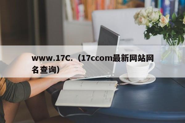 www.17C.（17ccom最新网站网名查询）